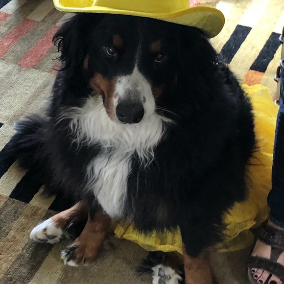 Meet your Posher, Kristen - Picture 1 of 1